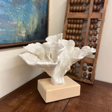 Free Shipping Vintage MCM White Coral Sculpture on Wooden Stand Decor 