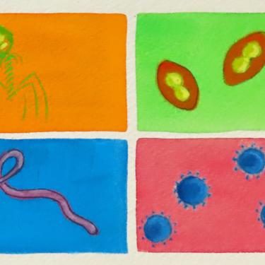 Colorful Viruses - original watercolor painting - microbiology art 