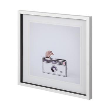 Hedgehog &amp; Vintage Camera