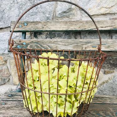 Vintage Egg Gathering Basket