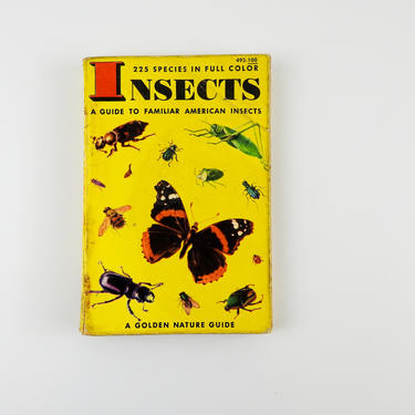 Insects / Vintage Golden Guide 
