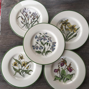 Vintage Delano Studios Plates, Wildflowers Sybil, 5 floral luncheon plates | ladys slipper, daylily, bluebell, blue iris, violet flower 