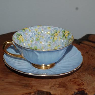 Shelley Primrose Blue Oleander Chintz 1940's Tea Cup & Saucer # 13588/510 ~ English China ~ Primrose Chintz Blue, Yellow, Periwinkle Flowers 