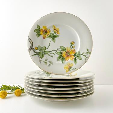 Set of 4 Meito Dinner Plates, Meito Norleans Sun Glory Plate, Yellow Floral Vintage China Tableware 