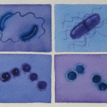 Bacteria in Purple and Blue - original watercolor painting - microbe art 