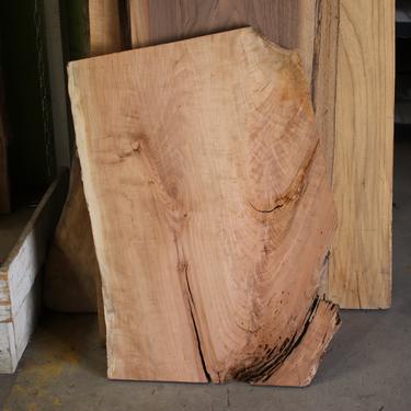 Treincarnation Live Edge Lumber – Cherry 17-22" x 31-33.25" Serial #5348