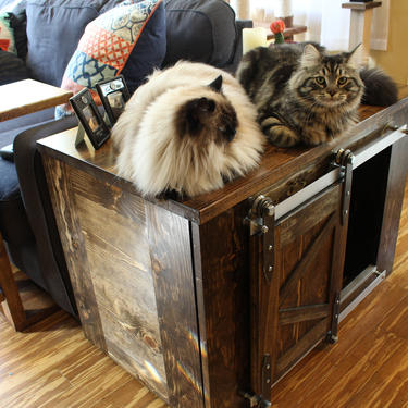 Rustic Cat Litter Box 2 Level with Steps - Sliding barn doors / Custom Cat / Kitty House / Litter Storage / Rustic Pet / Pet furniture 