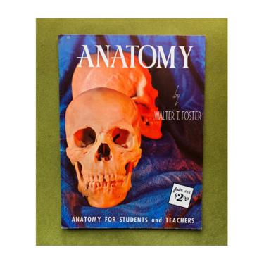1960s Anatomy Drawing Booklet with Framable Art 