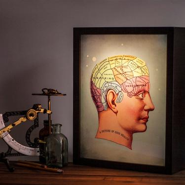 Phrenology Lightbox - handmade medical art - home lighting - nightstand - bedroom - room decor - night light - drs office - medical journal 