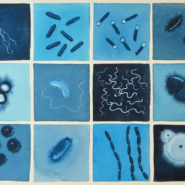 Blue Bacteria  - original watercolor painting of microbes - microbiology art 