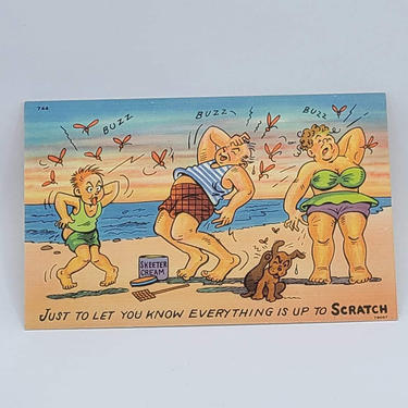 Humor “Just to let you know everything is up to scratch!” Vintage Blank Postcard - Funny Humor Postcard - Thinking of You Postcard 