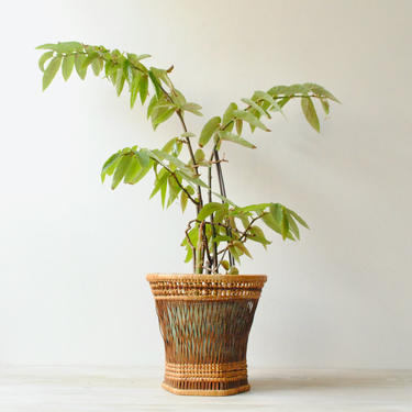 Vintage Bamboo Basket, Plant Basket, Storage Basket 