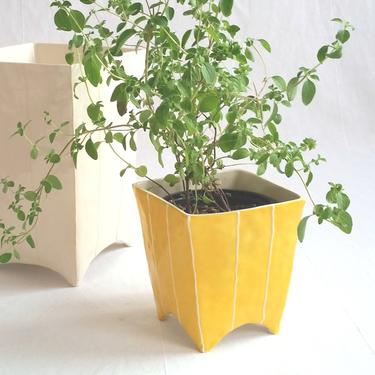 Plant pot. Square ceramic planter for succulent or cactus 
