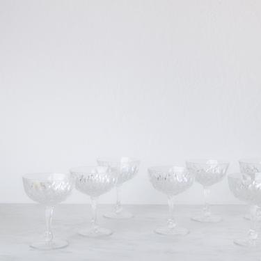 Etched  Champagne Coupe Set Of 6