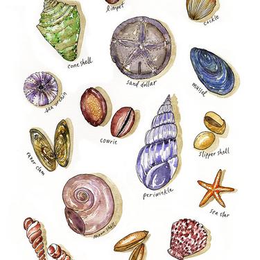 Seashells Watercolor Art Print