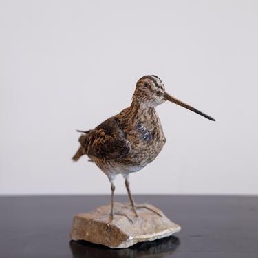 Vintage French Sea Bird on stand, Small