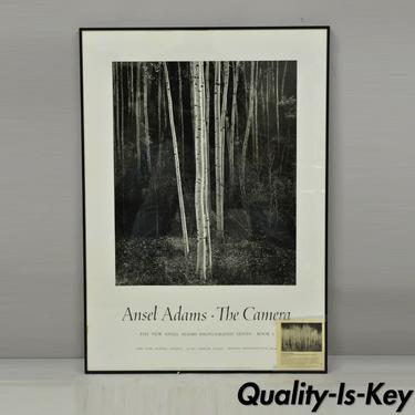 Vintage 1981 Ansel Adams Aspens The Camera Framed Art Print Poster