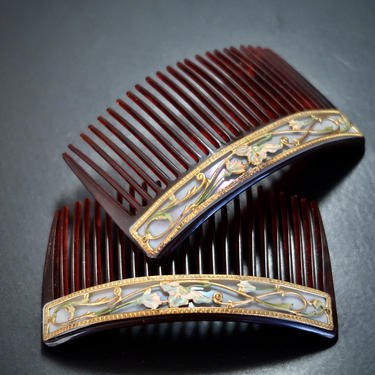Matched Pair Art Nouveau Iris Lily Flower Celluloid Hair Combs, French Antique Hair Combs, Antique Flower Motif Combs, Antique Hair Ornament 