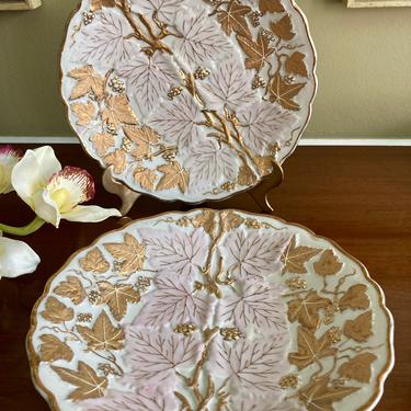 Andrea Sadek Gold Grape Vine &amp; Pink Leaves Cabinet Plates 