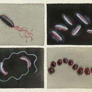 Black, White and Red Microbes - original watercolor painting of bacteria - microbiology art 