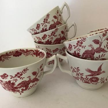 Vintage-(8) Red Transfer ware Coffee Teacups -Ridgway Winsor- England Featuring flowers and Pheasant Birds 