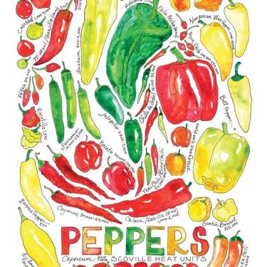Produce Family Chili Pepper Watercolor Art Print