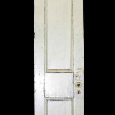 Two Panel Narrow Closet Door 85.25 x 16.25