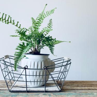 Vintage Wire Basket with Handles | Metal Basket with Wood | French Wire Basket | Farmers Market Basket | French Farmhouse Modern Farmhouse 