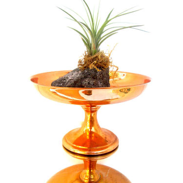 Modern Mid-Century Solid Copper Pedestal Dish | Centerpiece | Fruit Bowl || Stylish Home / Bar Decor || Coppercraft Guild 