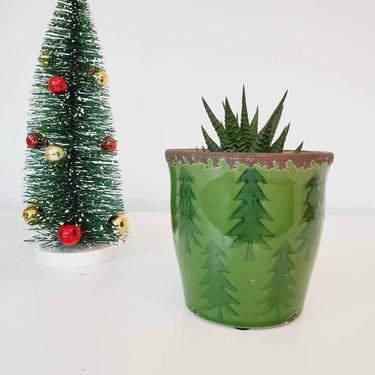 Rustic Winter Holiday Indoor Planter / Bulb Pot 