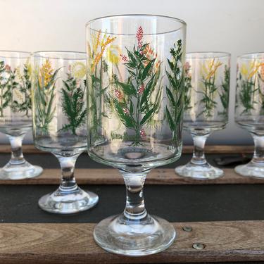 Set of 5 1970's Neiman Marcus Botanical Glasses