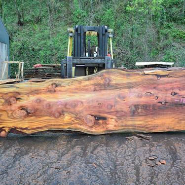Raw Slab of Redwood Winery Table 