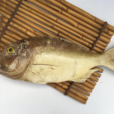 Vintage Hard Plastic Fish, Life Like Fish, Lake House Decor, Nautical, Hanging Fish, READ DESCRIPTION, Sold As Is 