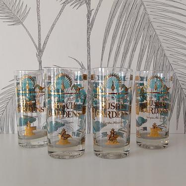 Vintage Drinking Glasses, Glass, Busch Gardens, Tampa, Fl., sold as a set of 4, circa 90's 