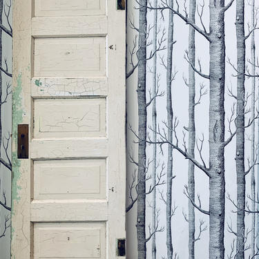 Antique Panel Door | White Panel Door | Antique Barn Door | Antique Hardware | White Shabby Chic Door | Vintage Door 
