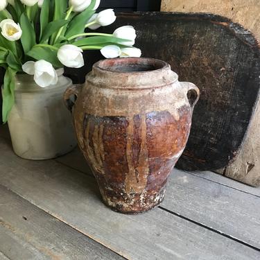 19th C Confit Jar, Olive Jug, Terra Cotta, Pottery, Rustic European Farmhouse, Farm Table 
