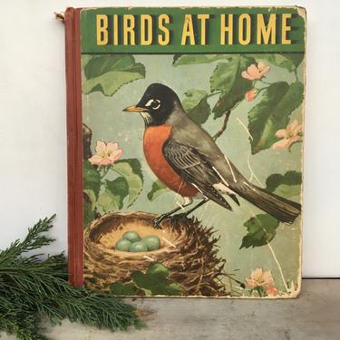 1942 Birds At Home Book By Marguerite Henry, First Edition, Illustrations By Jacob Bates Abbot, Large Children's Book 