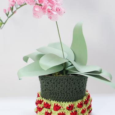 Crochet Strawberry Plant Holder