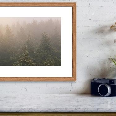 Great Smoky Mountains National Park, Forest Photography, North Carolina Mountain Wall Art, Woodland Print, Forest Print, National Park Photo 