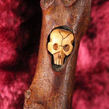 Vintage Burl Branch Walking Stick with Bone Skull Insert 