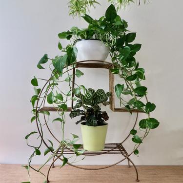 Vintage Plant Stand - Mid Century Plant Stand - Hoop Plant Stand - Round Tiered Plant Stand - Rustic Plant Stand 
