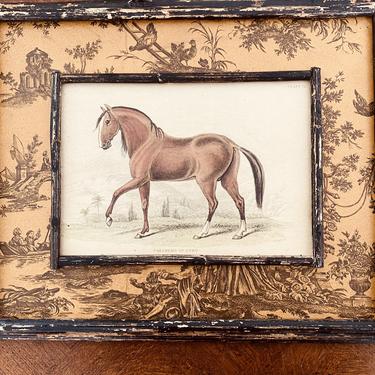Vintage Horse Print,  Number I