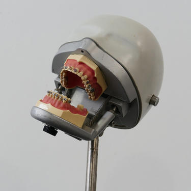 Frasaco Dental Phantom