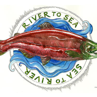 River to Sea Sea to River Salmon Watercolor Art Print