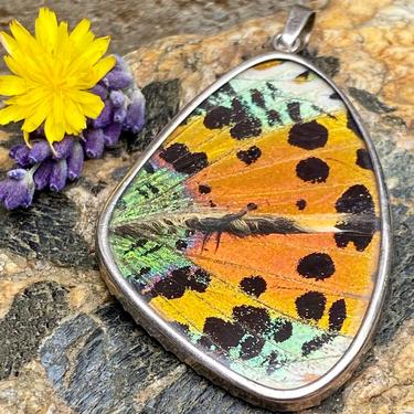Naturally Shed Butterfly Wing Pendant 