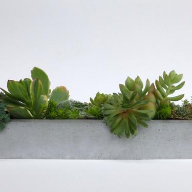 Concrete Planter - Window Sill 