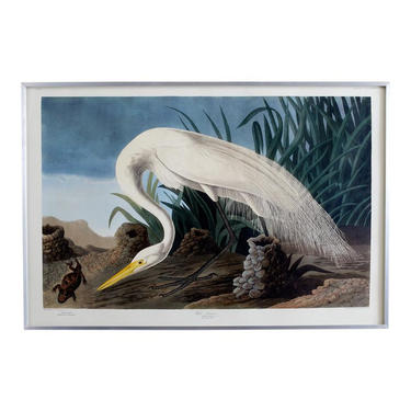 Audubon White Heron Plate #386 Havell Oppenheimer Edition by ErinLaneEstate