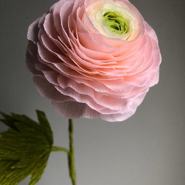 Crepe Paper Ombre Ranunculus -- Paper Flowers for Home Decor or Weddings 