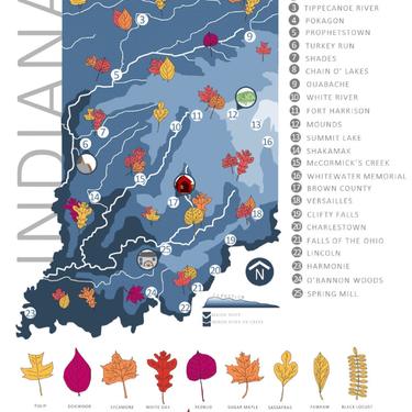 Indiana’s state parks decorative map with leaves of native trees 11x17 