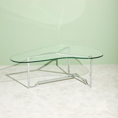 Organic Form Glass Coffee Table
